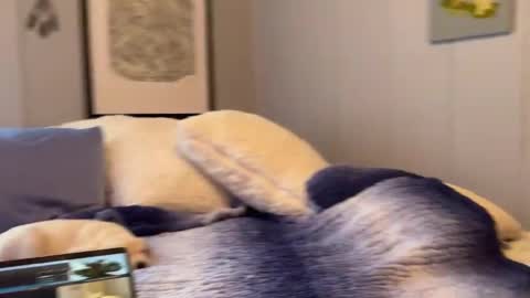 Mia  online show from January 2025 02:58:01 PM