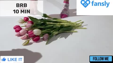 Mommy online show from January 2025 02:19:02 AM