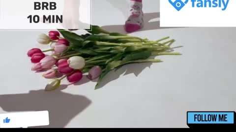 Mommy online show from January 2025 05:16:01 AM