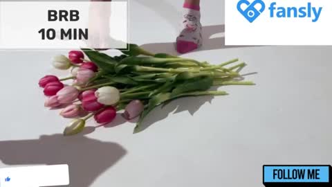 Mommy online show from March 2025 05:00:02 AM