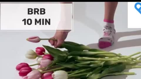 Mommy online show from November 2025 02:10:01 AM