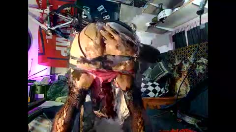 moneyballbaggin online show from October 2025 11:16:02 PM