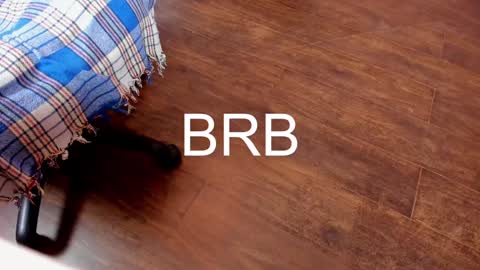 Monika NO c2c ever. PVT free Naked Fingering pussy doggy or standing BJ HJ Feet Fashion. PVT extra Toy control 400tk. online show from February 2025 11:37:02 PM