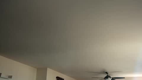 Monkee Dance online show from January 2025 05:44:01 PM