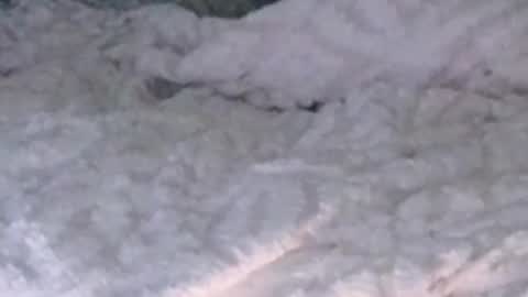 montydxxx2 online show from February 2026 12:26:02 AM