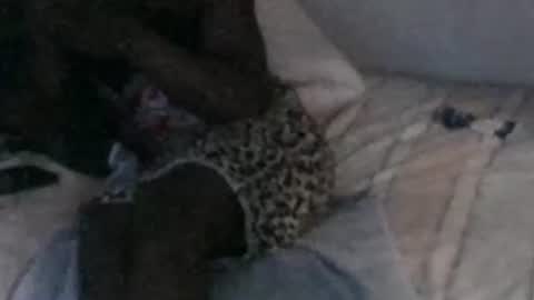 montydxxx2 online show from February 2026 11:28:02 AM