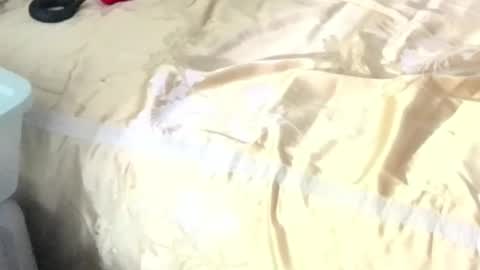 montydxxx2 online show from February 2026 11:08:02 AM