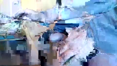 mookie2 online show from January 2025 09:47:01 AM