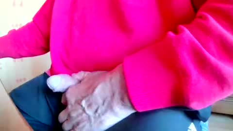 Snapshot of mookie2 chatting on March 2026 04:55:01 PM mookie2 online show from March 2026 04:55:01 PM