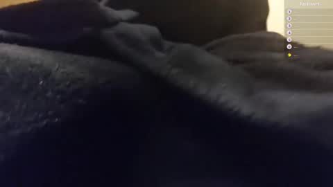 Snapshot of moonsire chatting on January 2025 06:28:01 AM Moonsire online show from January 2025 06:28:01 AM