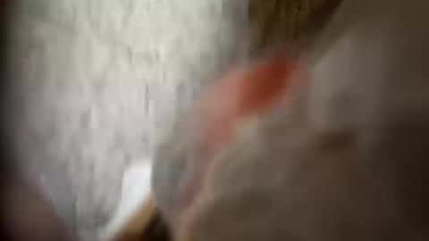 moos1 online show from September 2025 12:25:01 AM