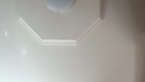 moos1 online show from February 2026 11:24:01 AM