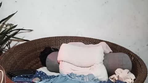 Snapshot of moreno_lutador chatting on February 2025 04:53:01 AM John john online show from February 2025 04:53:01 AM