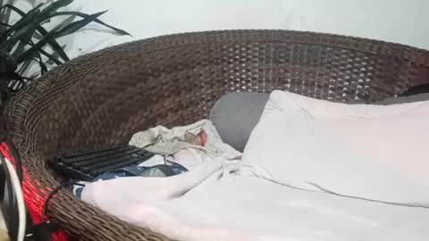 Snapshot of moreno_lutador chatting on February 2025 04:31:01 AM John john online show from February 2025 04:31:01 AM