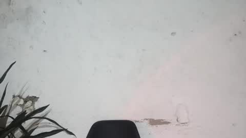 Snapshot of moreno_lutador chatting on February 2025 06:27:02 AM John john online show from February 2025 06:27:02 AM