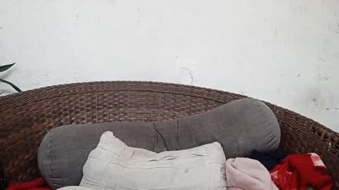 Snapshot of moreno_lutador chatting on March 2025 08:00:01 PM John john online show from March 2025 08:00:01 PM