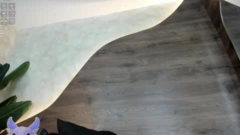  Morgan  online show from February 2025 02:38:02 PM