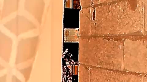 Sahid C online show from May 2026 01:48:02 PM