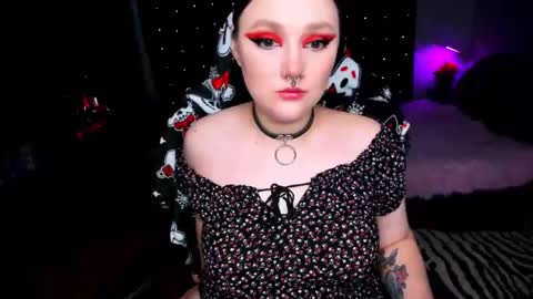 motorkate online show from December 2024 09:13:01 AM