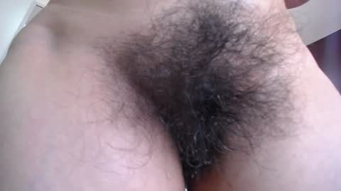 moxa hot online show from January 2025 08:09:02 AM