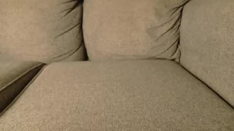 mr6ray online show from January 2026 02:26:02 AM