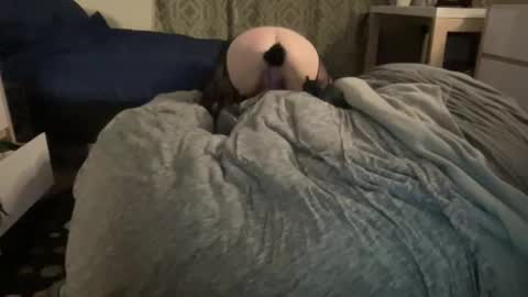 The Honey Pot  Pooh Bear online show from February 2026 09:28:01 AM