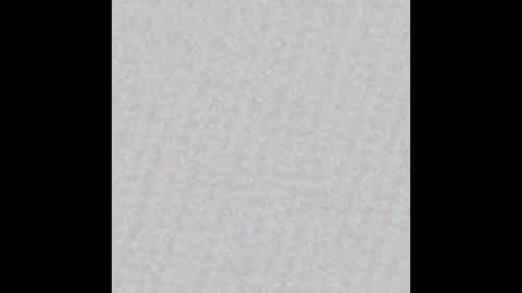 Brandon Banks online show from December 2024 07:47:02 AM