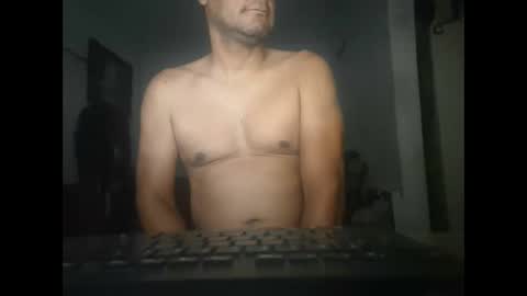 Gato online show from February 2025 11:13:01 AM