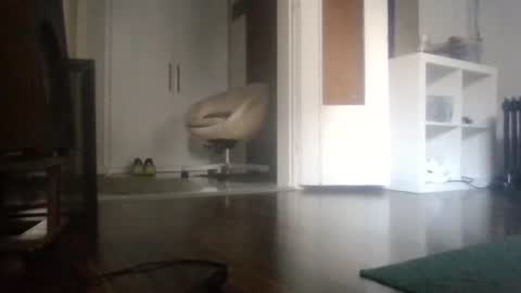 Nikola online show from January 2026 10:53:02 AM