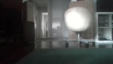 Nikola online show from February 2026 08:20:01 AM