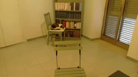 mrkurt86 online show from November 2025 01:55:01 PM