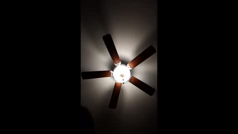 Snapshot of mrorange50187 chatting on December 2024 12:32:02 AM mrorange50187 online show from December 2024 12:32:02 AM