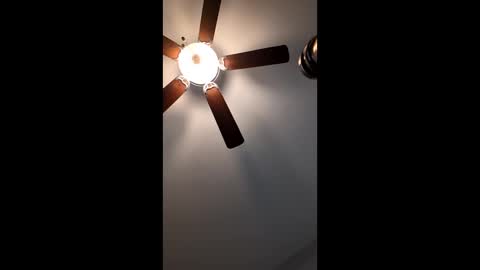 Snapshot of mrorange50187 chatting on January 2025 02:52:01 PM mrorange50187 online show from January 2025 02:52:01 PM