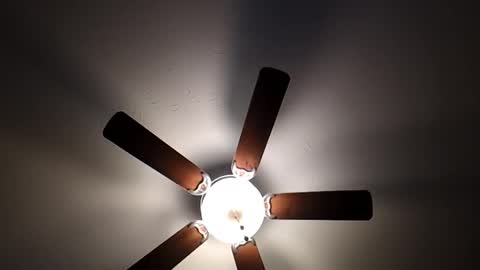 Snapshot of mrorange50187 chatting on January 2025 10:02:01 PM mrorange50187 online show from January 2025 10:02:01 PM