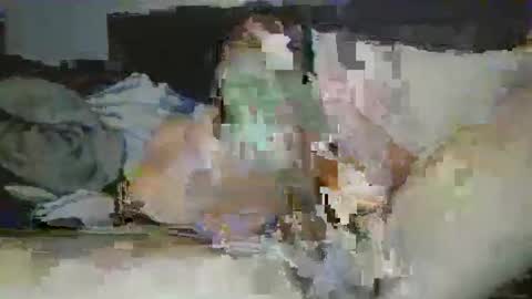 mrpapichulo4life online show from February 2026 11:20:01 AM