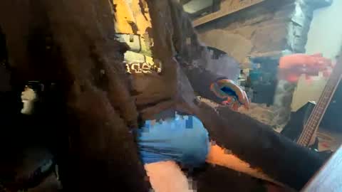 Snapshot of mrprodigy101 chatting on February 2026 08:51:02 PM mrprodigy101 online show from February 2026 08:51:02 PM