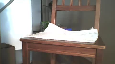 Longshot online show from December 2024 11:35:01 PM