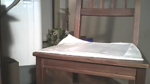 Longshot online show from December 2024 03:44:01 AM