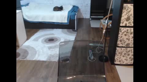 Snapshot of mrsluck chatting on March 2025 03:23:02 PM Sasha online show from March 2025 03:23:02 PM