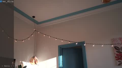 Snapshot of ms_dira chatting on February 2026 01:31:02 PM dira and the riru tribe online show from February 2026 01:31:02 PM