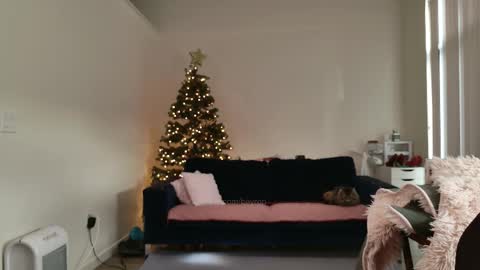 R o r i  SnapChat heyroriv2 wednesday - sunday Noon oclock mountain - 5pm mountain online show from February 2026 04:13:02 PM