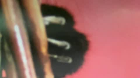 Snapshot of msduss351 chatting on February 2025 01:08:02 PM msduss351 online show from February 2025 01:08:02 PM