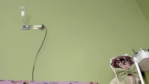 MsPurrfectLove online show from February 2025 06:31:02 PM