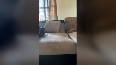 mt visuals online show from December 2025 12:11:02 PM