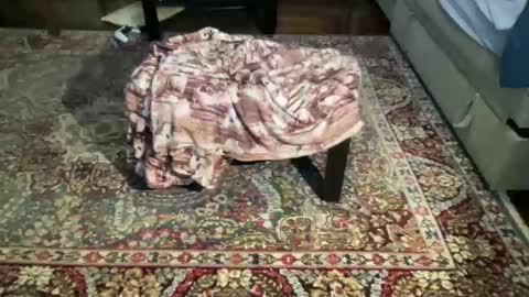 Snapshot of much_fun1 chatting on February 2026 03:21:02 PM much_fun1 online show from February 2026 03:21:02 PM