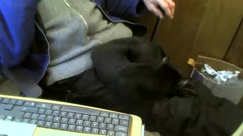 muller520 online show from February 2025 04:48:02 PM