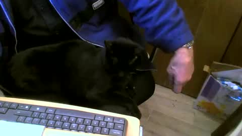 muller520 online show from February 2025 05:26:02 PM