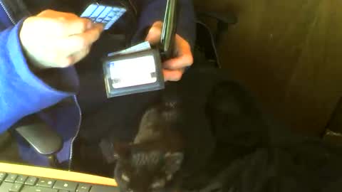 muller520 online show from February 2026 03:54:01 PM