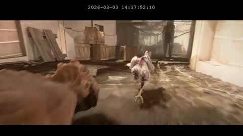 Snapshot of multitest101 chatting on March 2026 10:37:02 PM multitest101 online show from March 2026 10:37:02 PM