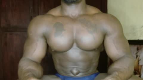 musclegod23 online show from February 2026 02:36:01 PM